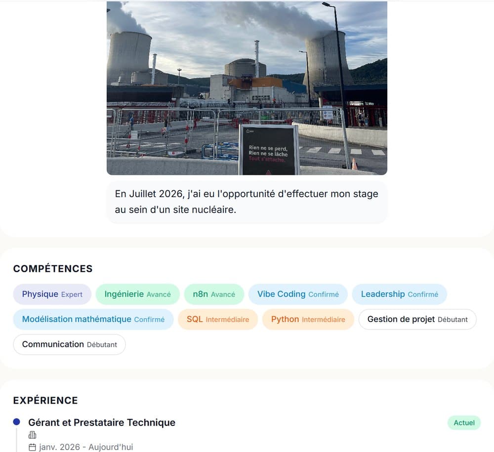 Extrait du profil candidat Themis : expérience professionnelle et compétences